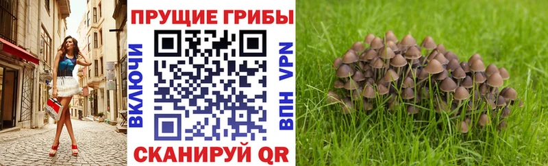 Галлюциногенные грибы ЛСД  Белёв 